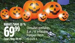 Canadian Tire 8´ Inflatable Pumpkin Patch offer