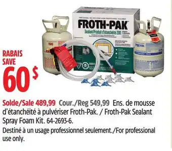 Canadian Tire Froth-Pak Sealant Spray Foam Kit offer