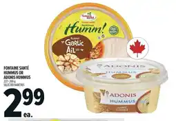 Metro Fontaine santé hummus or adonis hummus offer