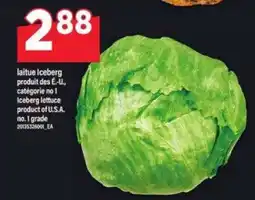 Maxi Iceberg Lettuce offer