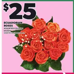 Loblaws ECUADORIAN ROSES, DOZEN offer