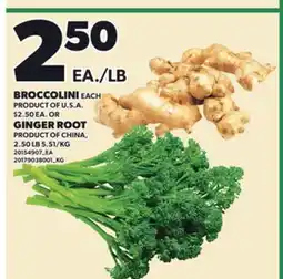 Loblaws BROCCOLINI, EACH OR GINGER ROOT, 2.50 LB offer