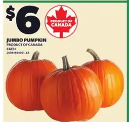 Loblaws JUMBO PUMPKIN offer