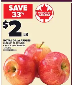 Loblaws ROYAL GALA APPLES offer