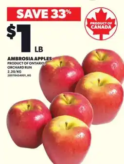 Loblaws AMBROSIA APPLES offer