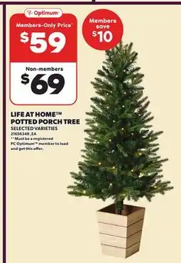 Loblaws LIFE AT HOME POTTED PORCH TREE offer