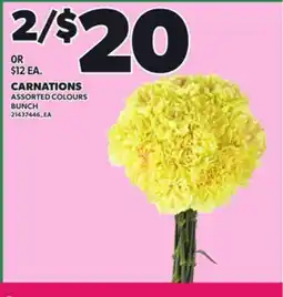 Loblaws CARNATIONS, BUNCH offer