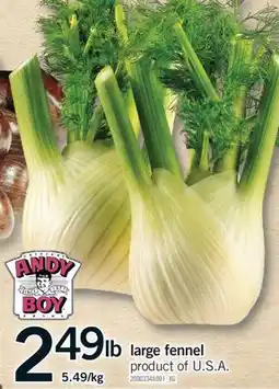 Fortinos LARGE FENNEL offer