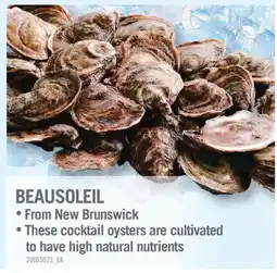 Fortinos BEAUSOLEIL offer