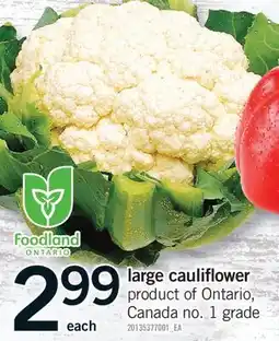 Fortinos LARGE CAULIFLOWER offer