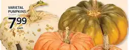 Fortinos VARIETAL PUMPKINS offer