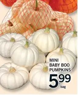 Fortinos MINI BABY BOO, bag offer