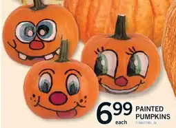 Fortinos PAINTED PUMPKINS offer