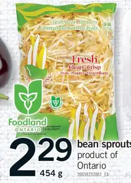 Fortinos BEAN SPROUTS, 454 g offer