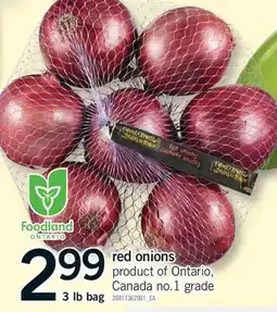 Fortinos RED ONIONS, 3 lb bag offer