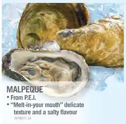 Fortinos MALPEQUE offer