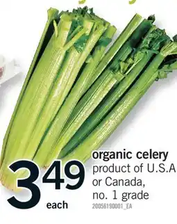 Fortinos ORGANIC CELERY offer