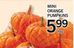 Fortinos MINI ORANGE PUMPKINS offer