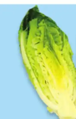 Walmart Romaine lettuce hearts offer