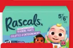 Walmart Rascals Premium Super Econo Pack Training Pants offer