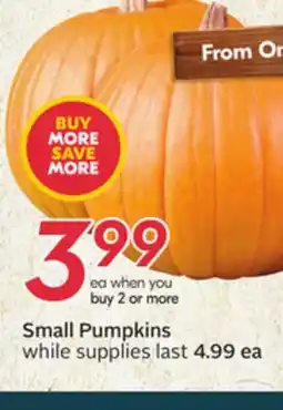 Sobeys Small Pumpkins offer