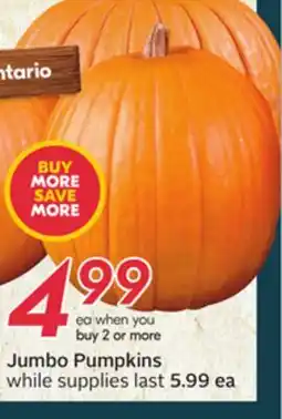 Sobeys Jumbo Pumpkins offer