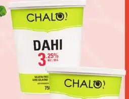 Sobeys CHALO Dahi Yogurt Plain offer