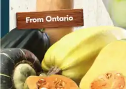 Sobeys Butternut, Buttercup, Acorn or Spaghetti Squash offer