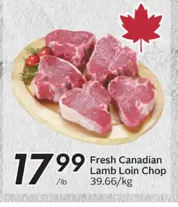 Sobeys Fresh Canadian Lamb Loin Chop offer