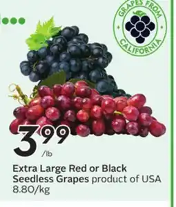 Sobeys Extra Large Red or Black Seedless Grapes offer