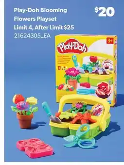 Real Canadian Superstore PLAY-DOH BLOOMING FLOWERS PLAYSET offer