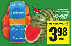 Food Basics CLEMENTINES OR MINI SEEDLESS WATERMELONS offer