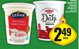 Food Basics HANS DAHI OR CEDAR YOGURT offer
