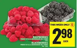 Food Basics RASPBERRIES OR BLACKBERRIES offer