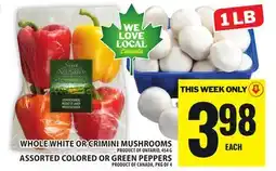 Food Basics WHOLE WHITE OR CRIMINI MUSHROOMS OR ASSORTED COLORED OR GREEN PEPPERS offer