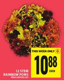 Food Basics 12 STEM RAINBOW POMS offer