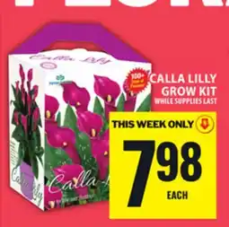 Food Basics CALLA LILLY GROW KIT offer