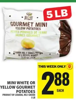 Food Basics MINI WHITE OR YELLOW GOURMET POTATOES offer
