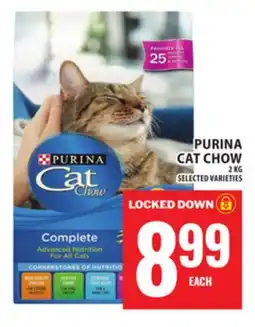 Food Basics PURINA CAT CHOW offer