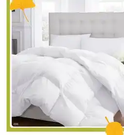 Oxford Mills European Down Duvets offer
