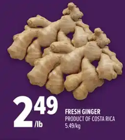 Metro FRESH GINGER offer