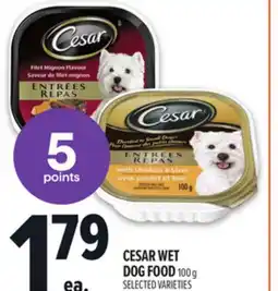 Metro CESAR WET DOG FOOD offer