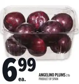 Metro ANGELINO PLUMS offer
