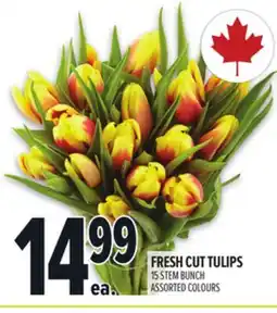Metro FRESH CUT TULIPS offer