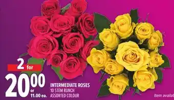 Metro INTERMEDIATE ROSES offer