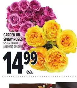 Metro GARDEN OR SPRAY ROSES offer