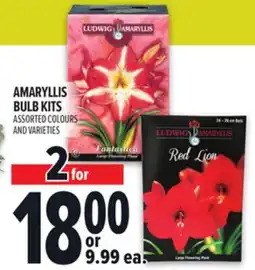 Metro AMARYLLIS BULB KITS offer