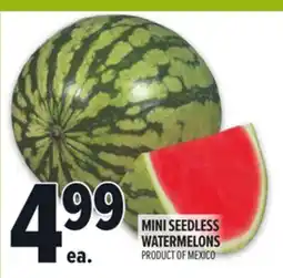Metro MINI SEEDLESS WATERMELONS offer