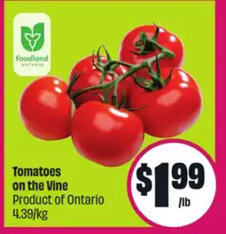 Chalo FreshCo Tomatoes on the Vine Product of Ontario 4.39/kg offer