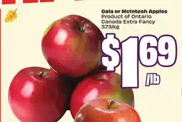 Chalo FreshCo Gala or McIntosh Apples Product of Ontario Canada Extra Fancy offer